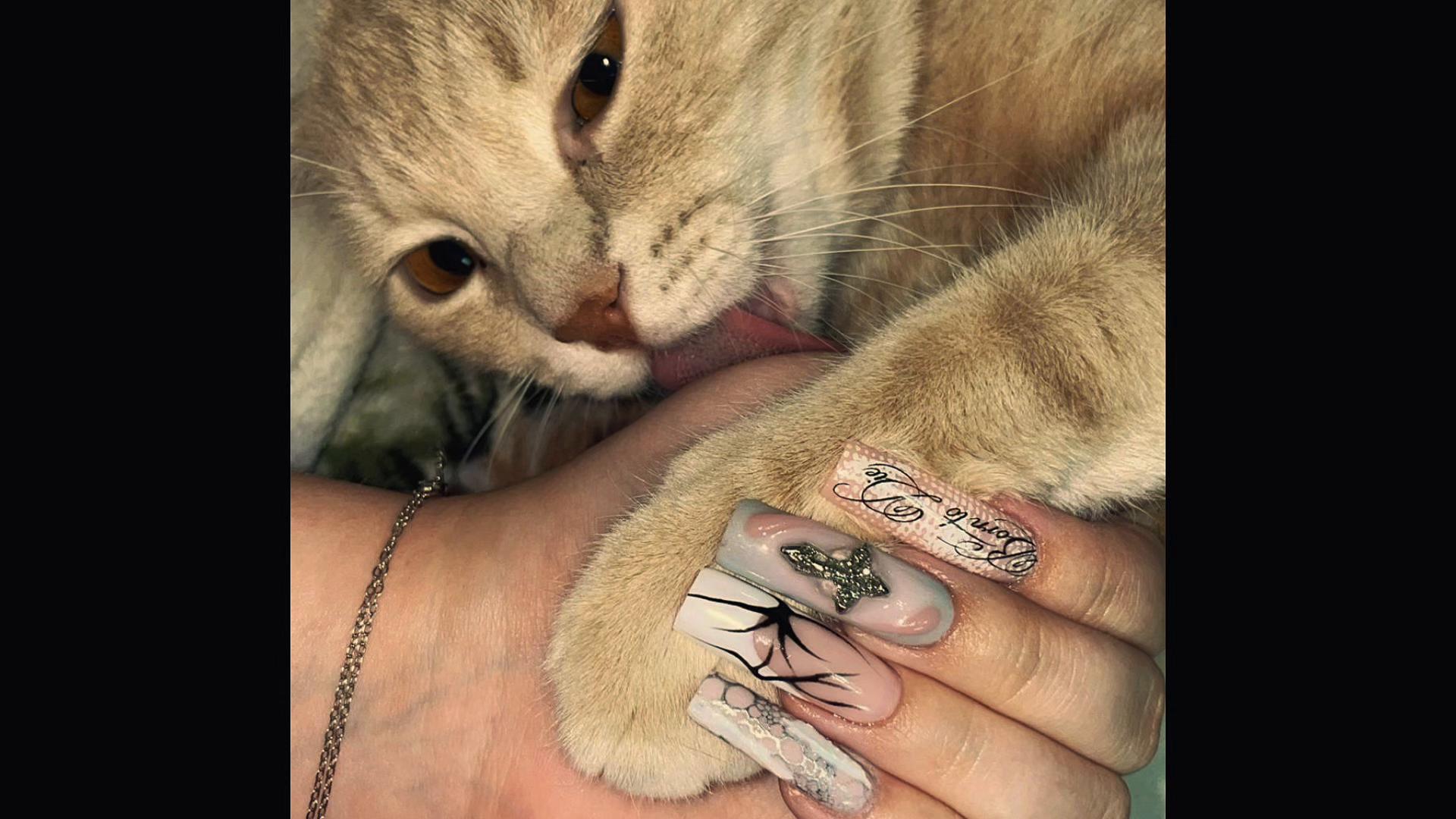 @Маникюр Ставрополь 🎀