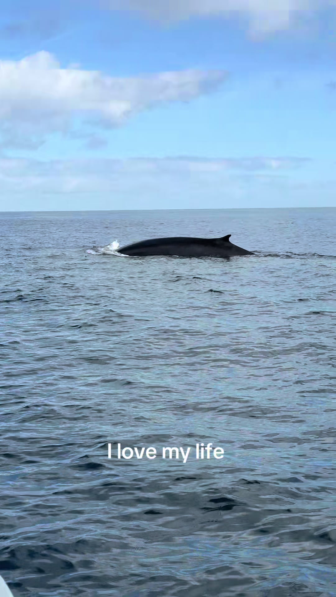 @TheOceanTourist