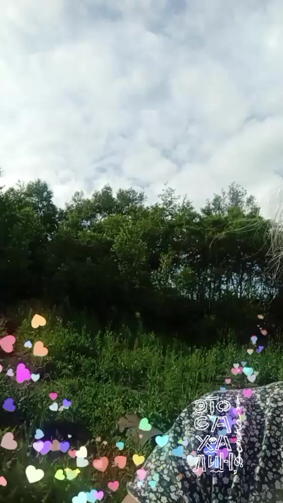 @Галочка