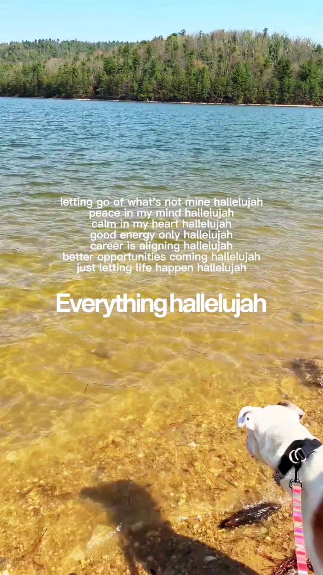 @Morgan Elizabeth✨🧿