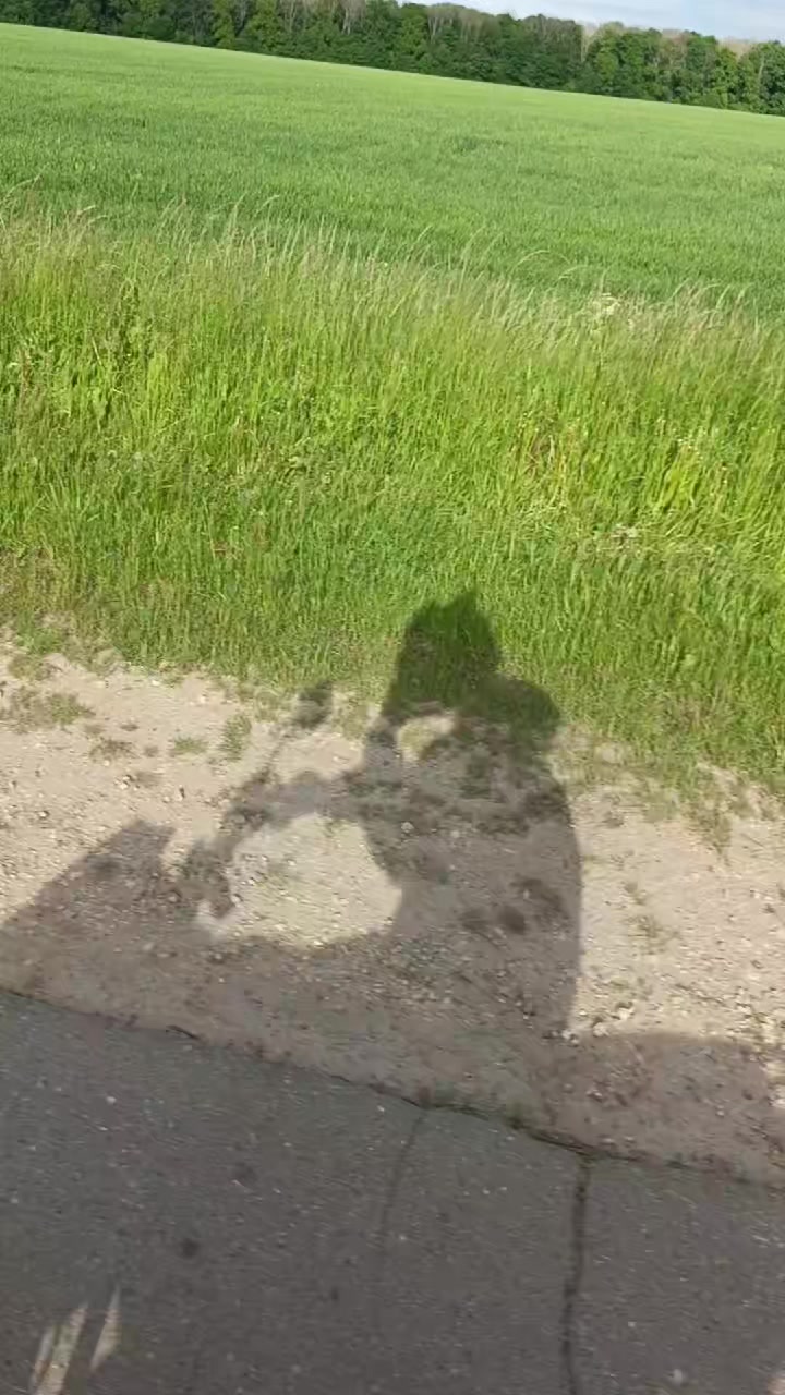 @MOTODASHKA🤙