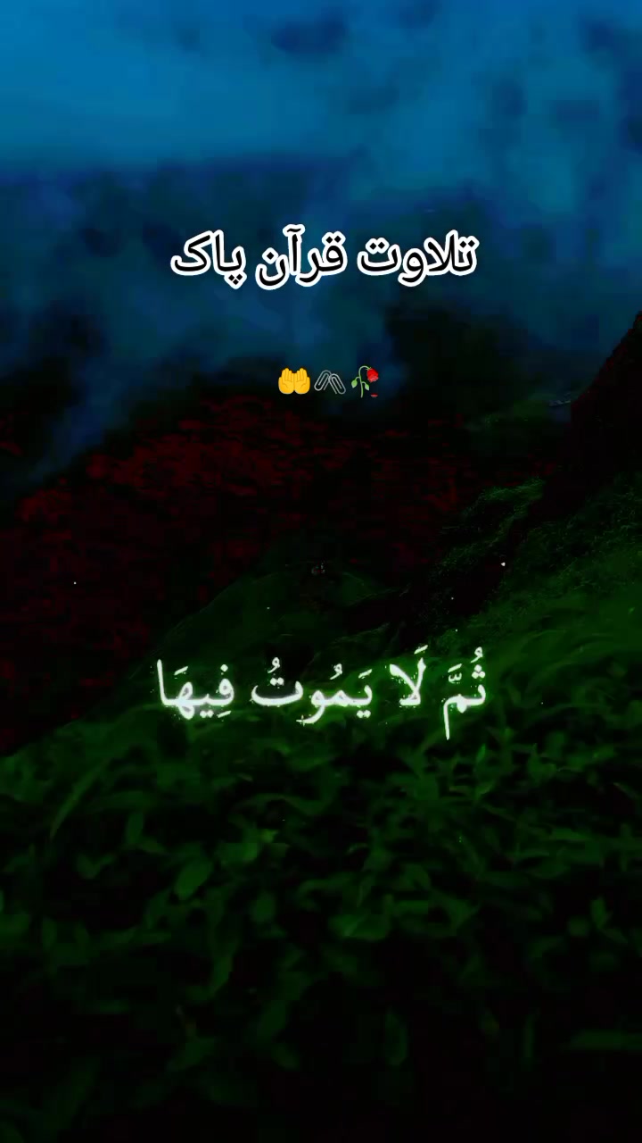 @گمنام دل❤️🩹