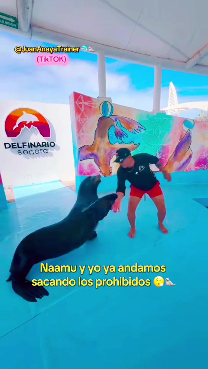 @Juan Anaya Trainer 🐬🦭