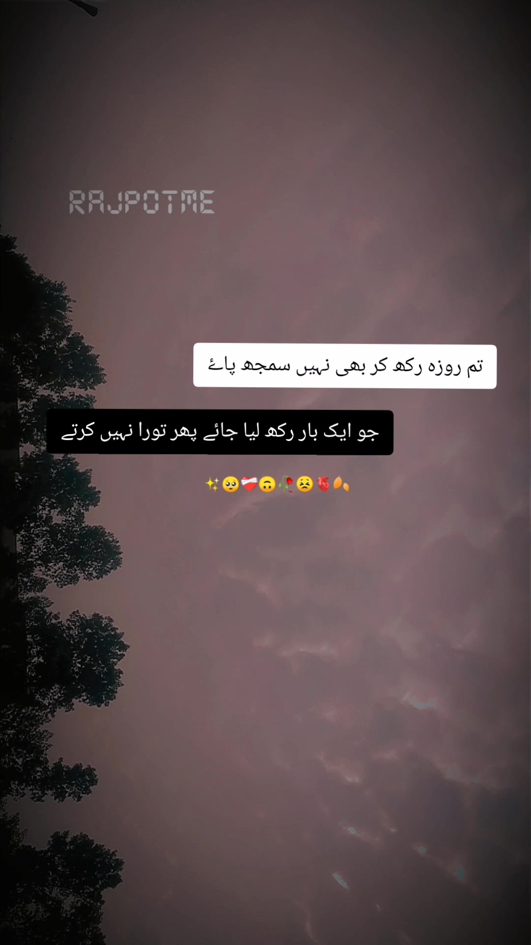 @👀♡ ᗪ&upsilon;ׁׅᴀ ♡🌚
