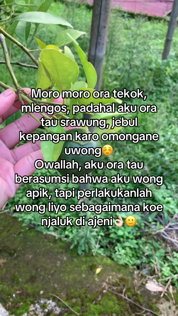 @Kartikaaa✨