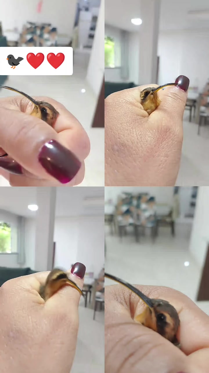 @SilvaRosy
