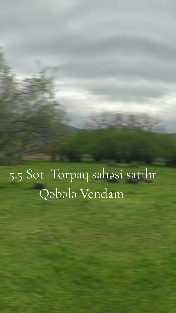 @Qebele Vendam.036