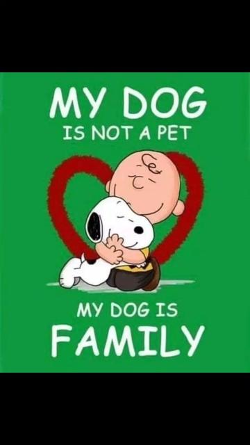 @Oatmeal 🐶🎧❤️🐕