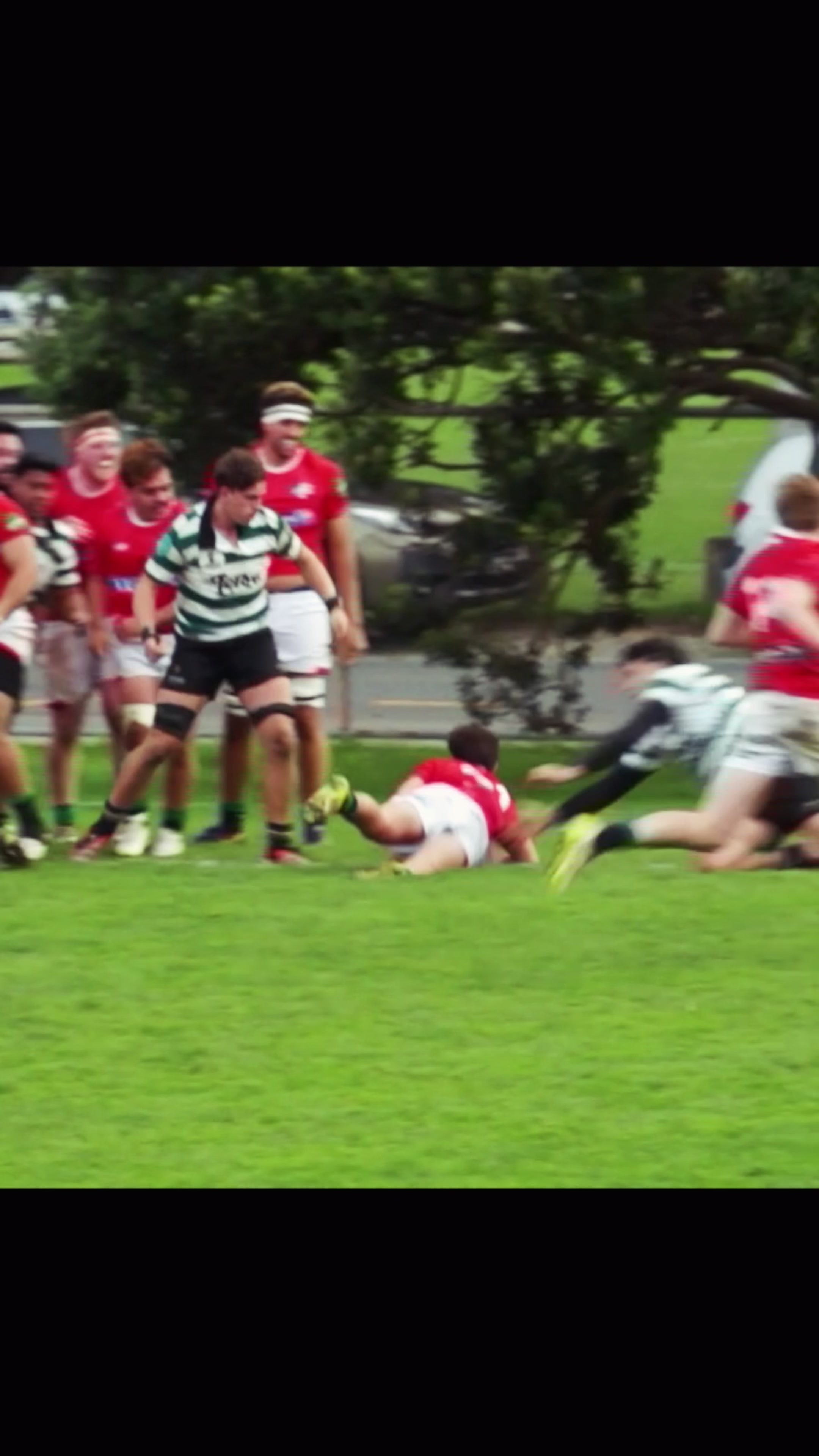 @msprugby