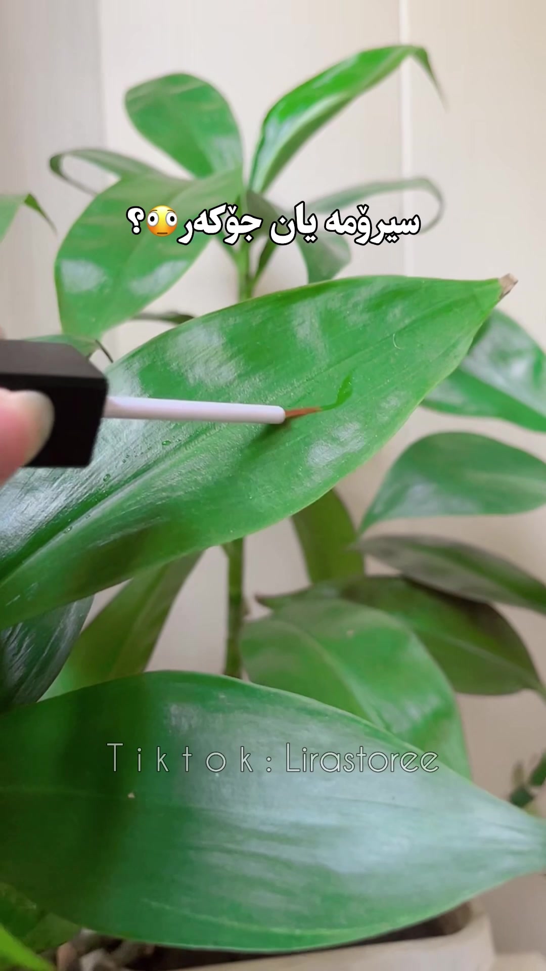 @لیرە🍓,