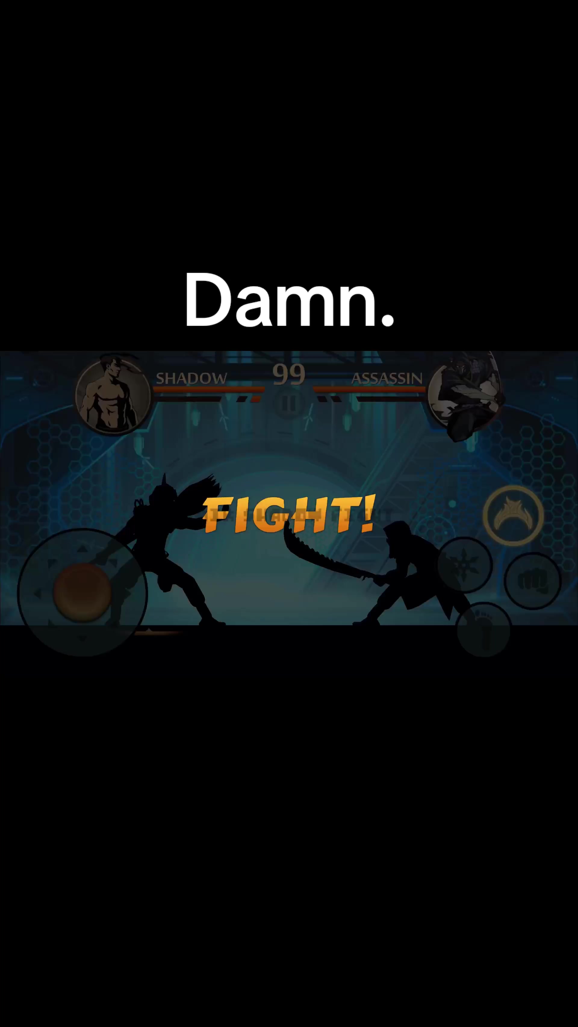 @Amir Shadow Fight