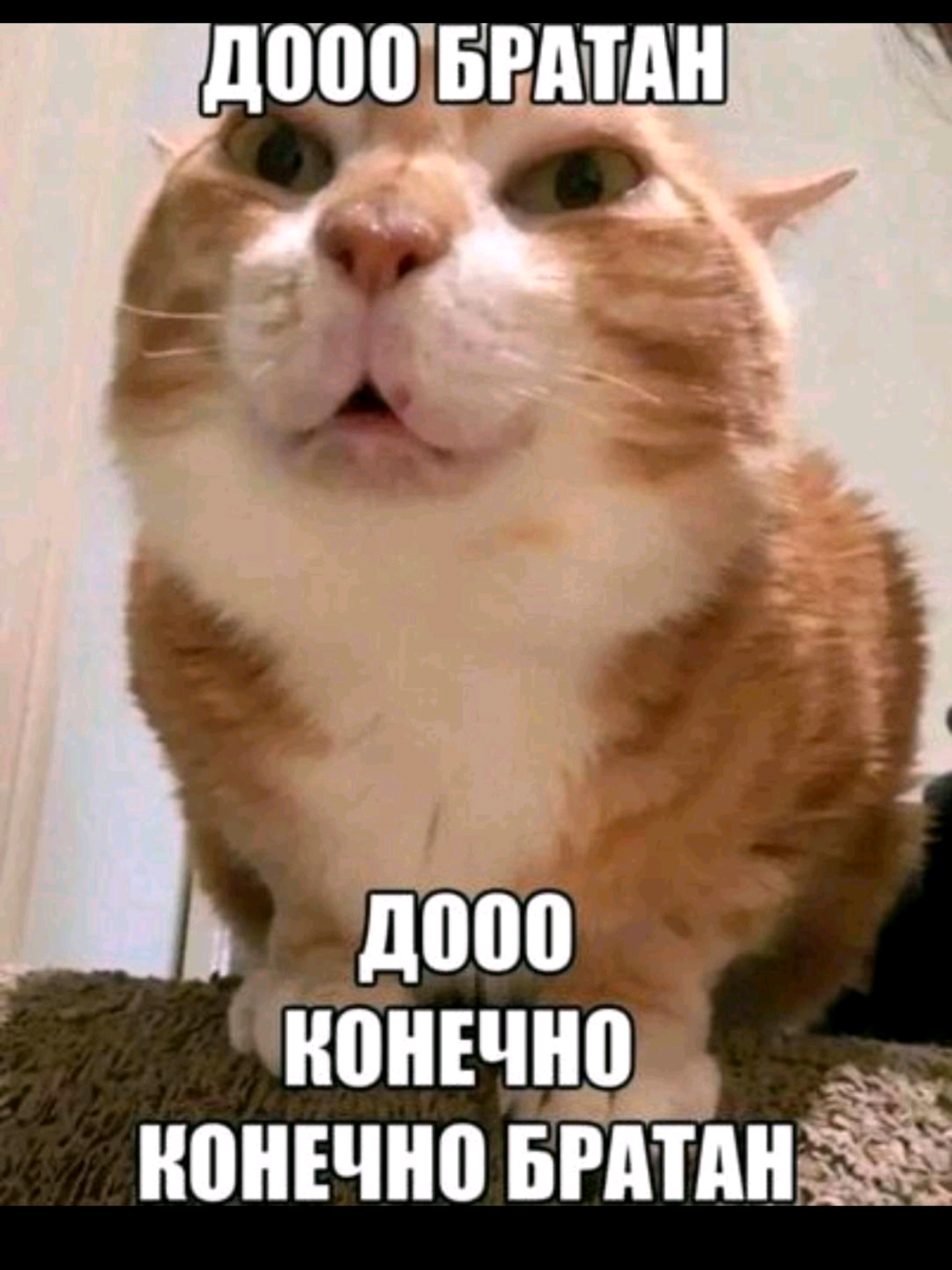 @Ash nazg durbatulûk