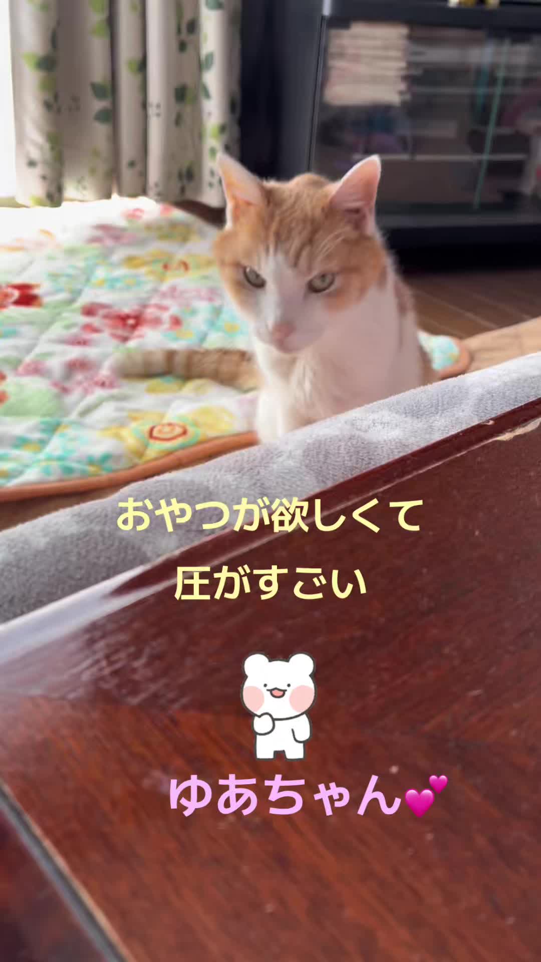 @ゆあ
