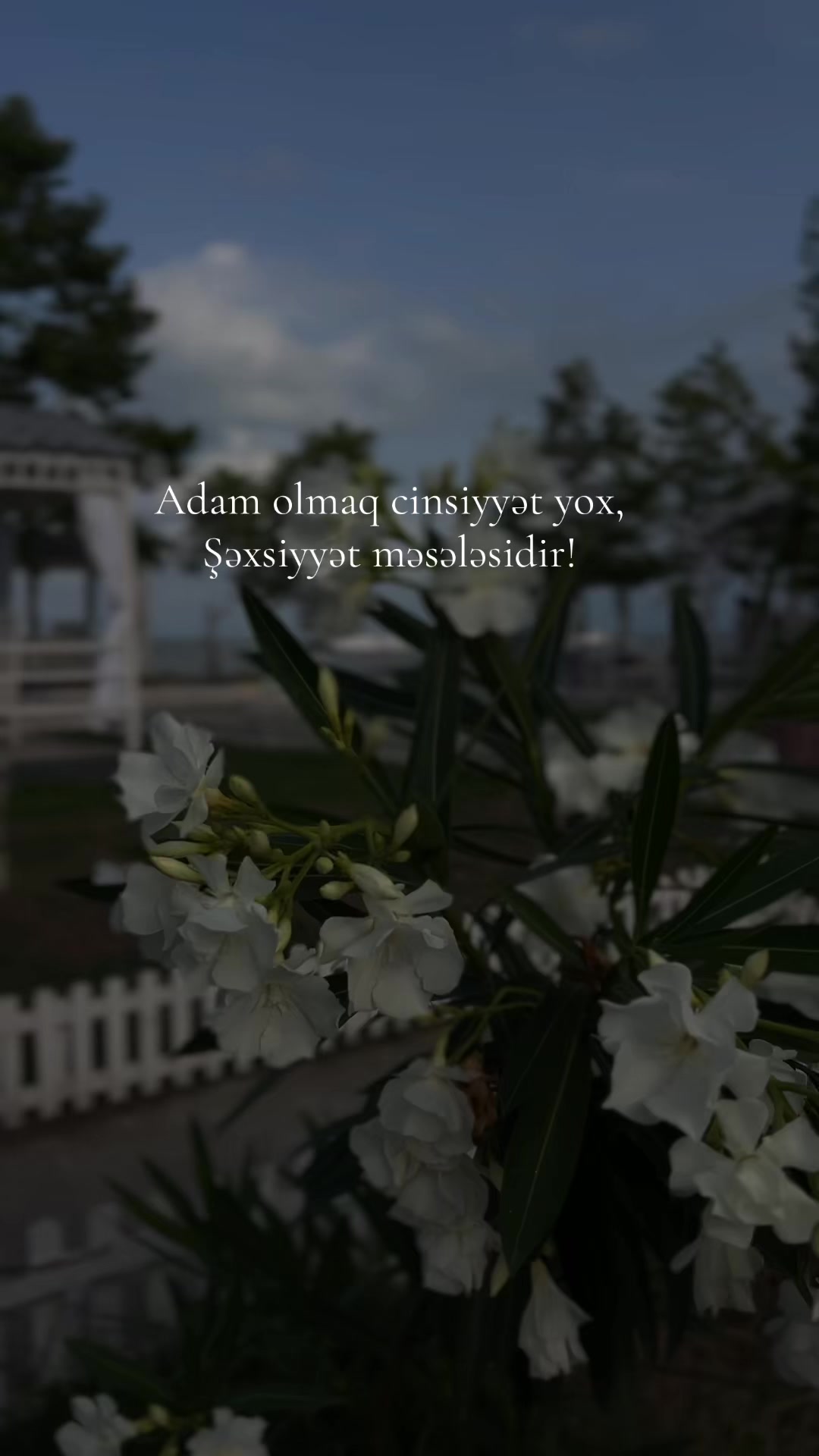 @kova_kadını_fafa