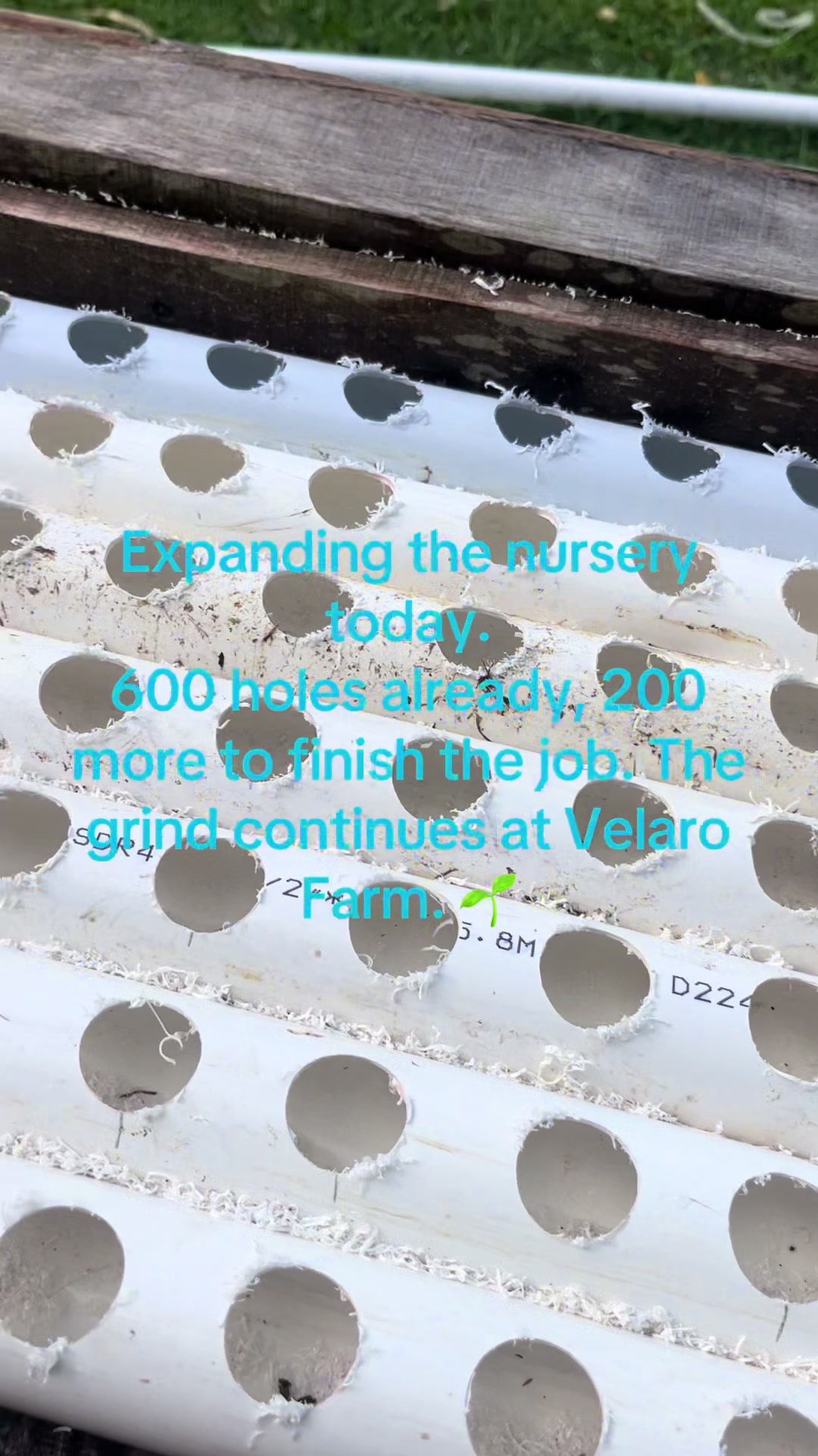 @Velaro Farm