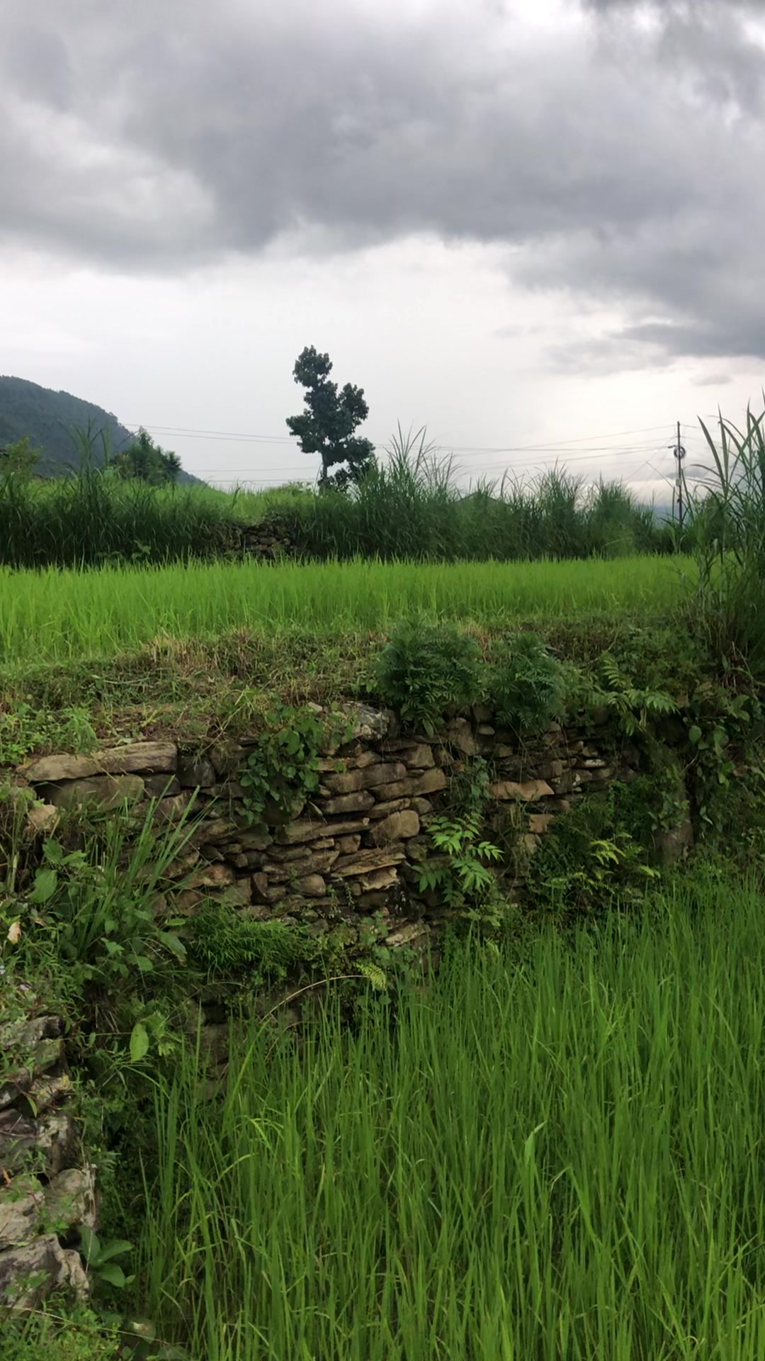 @Bastola Pathak
