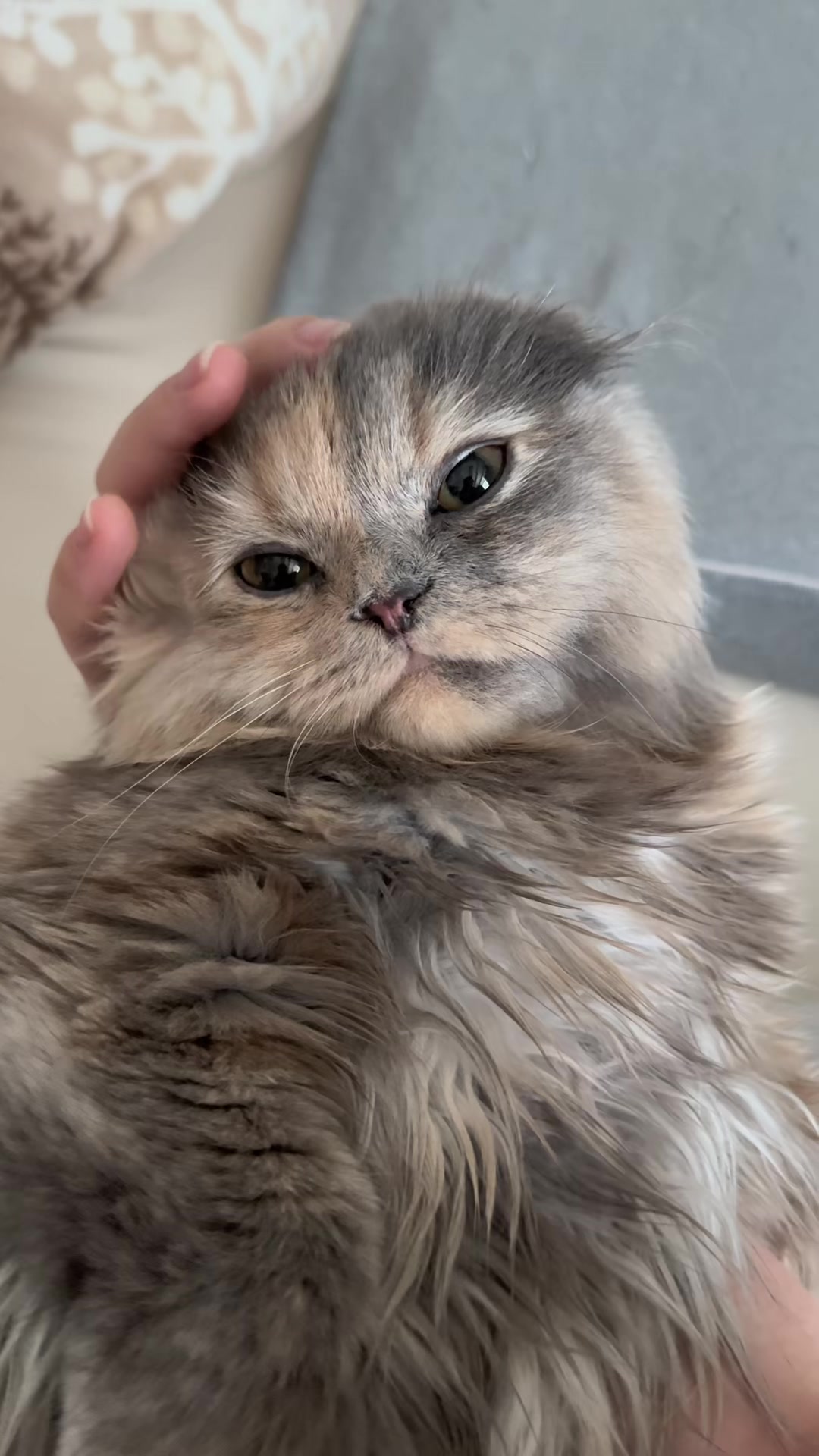 @マイクワゾウスキー