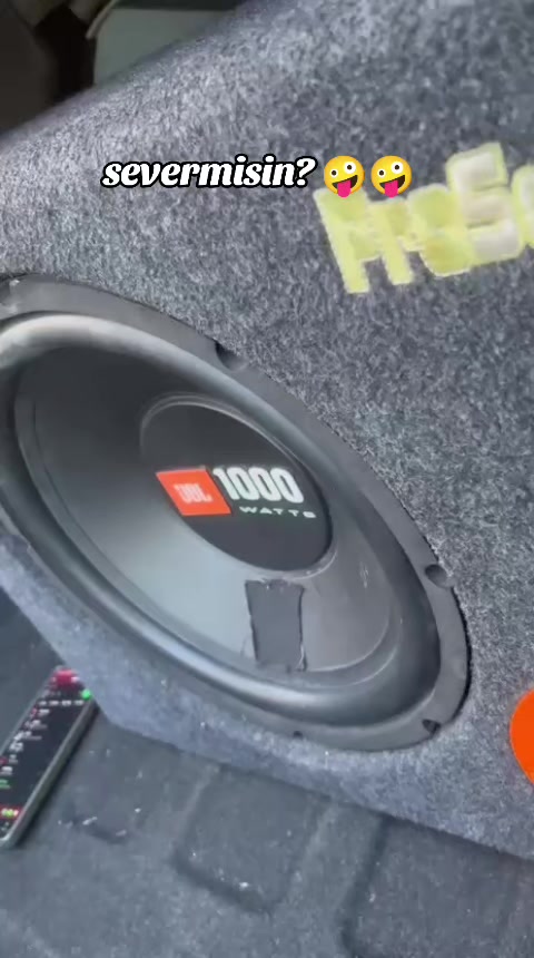 @55ANM301