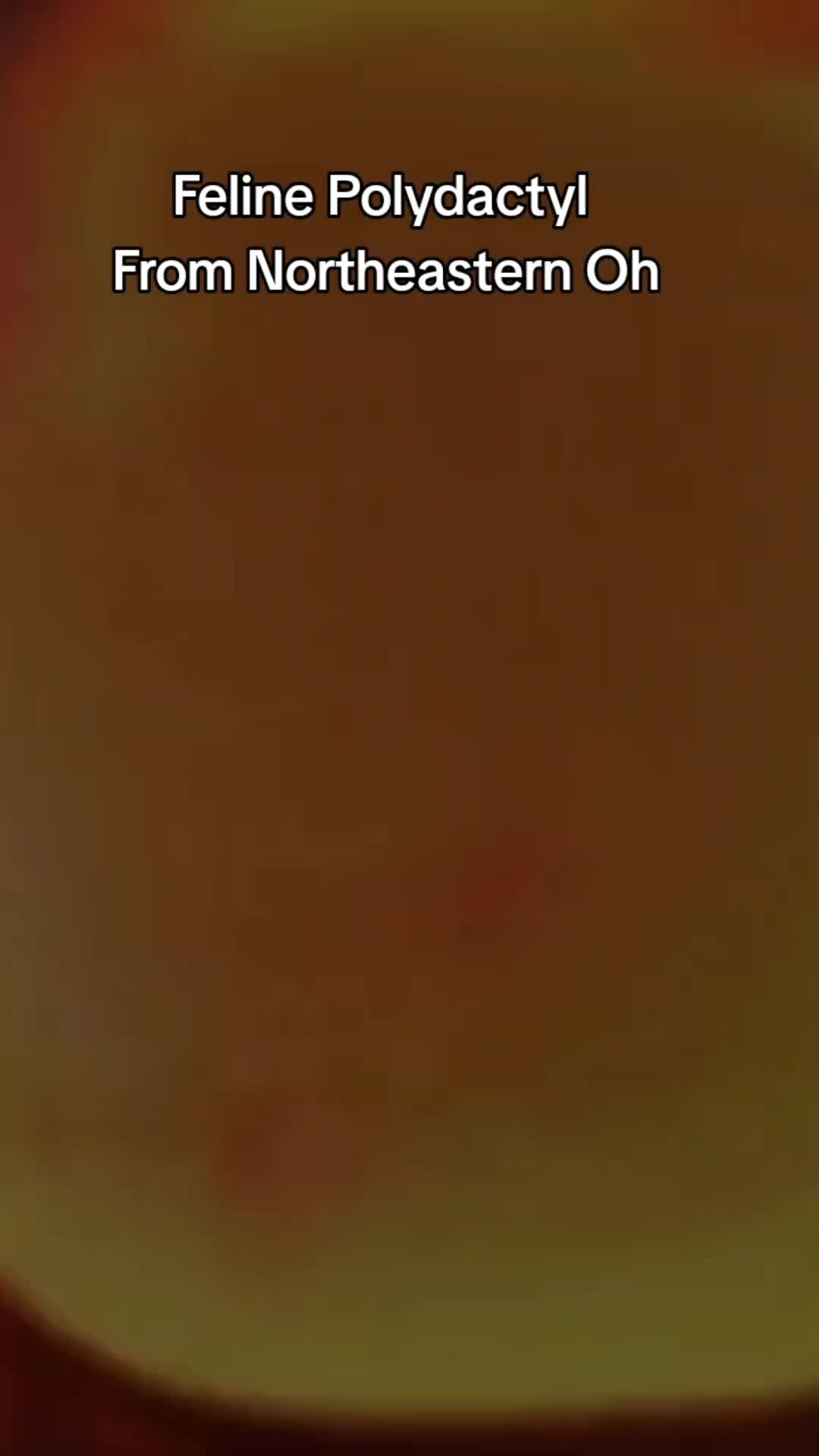 @ToddAMorse