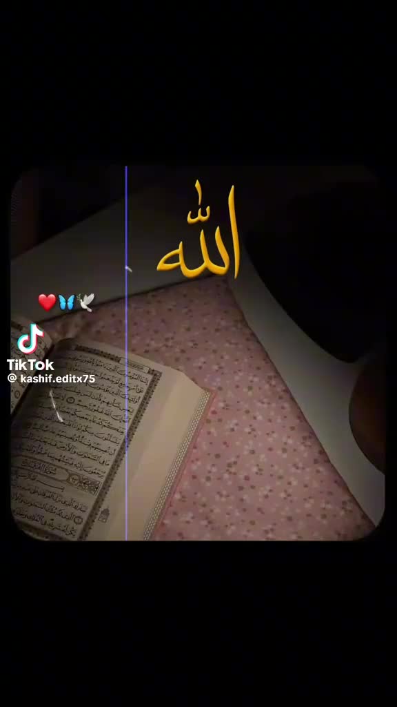 @Lala Abbas658