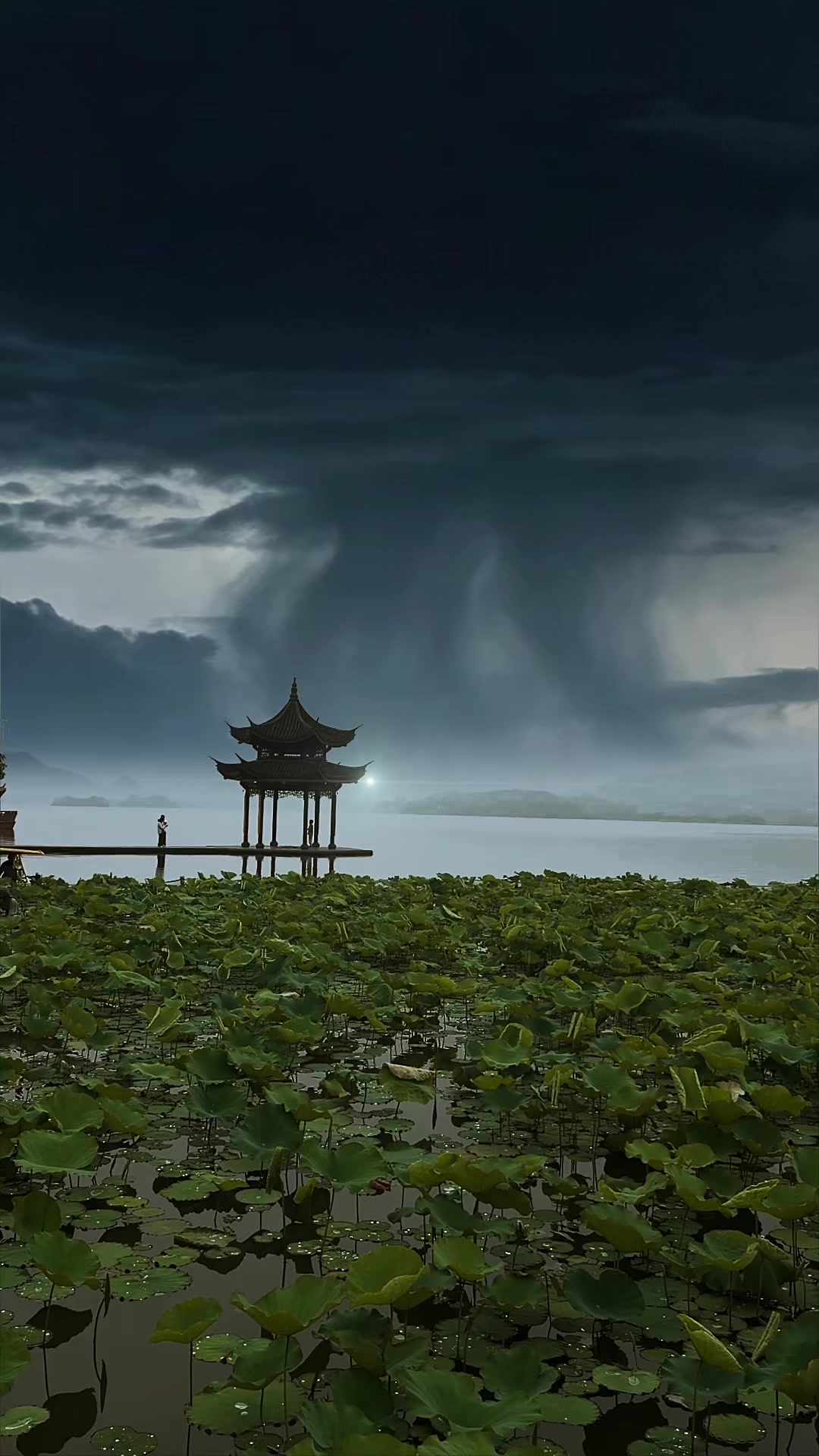 @无梦旅人🌬半口仙气