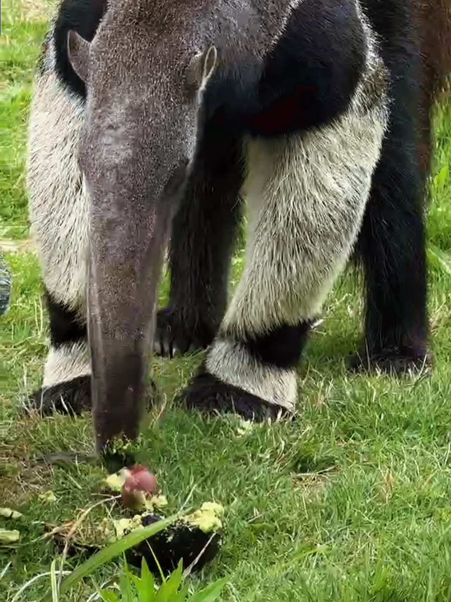 @Sedgwick County Zoo