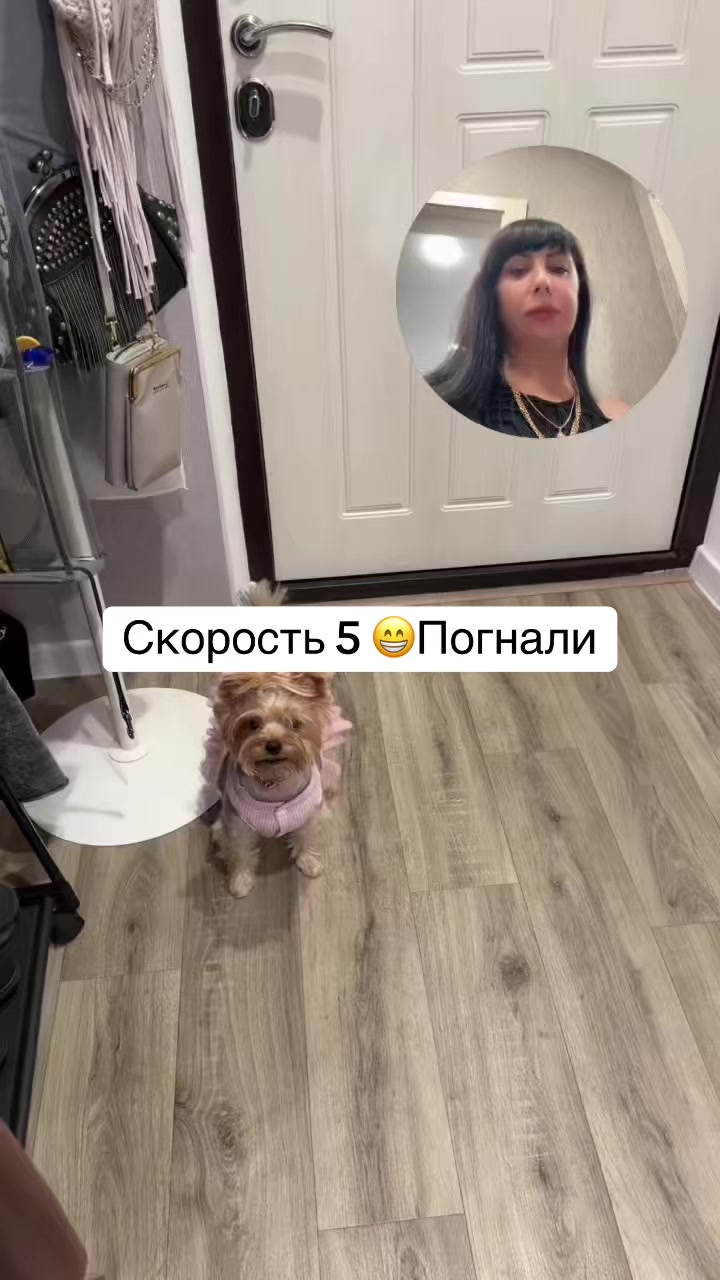 @BOGDANOVA LED LASH