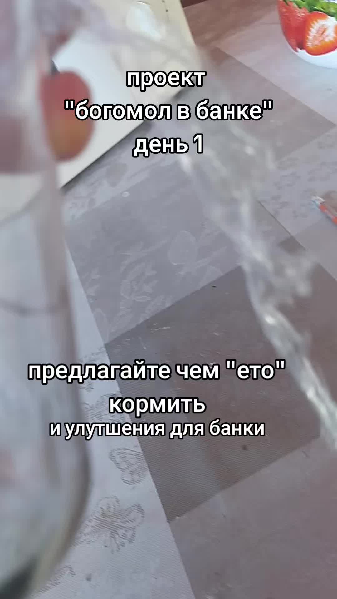 @𝙠𝙫𝙖𝙨𝙨/КВАС☑️