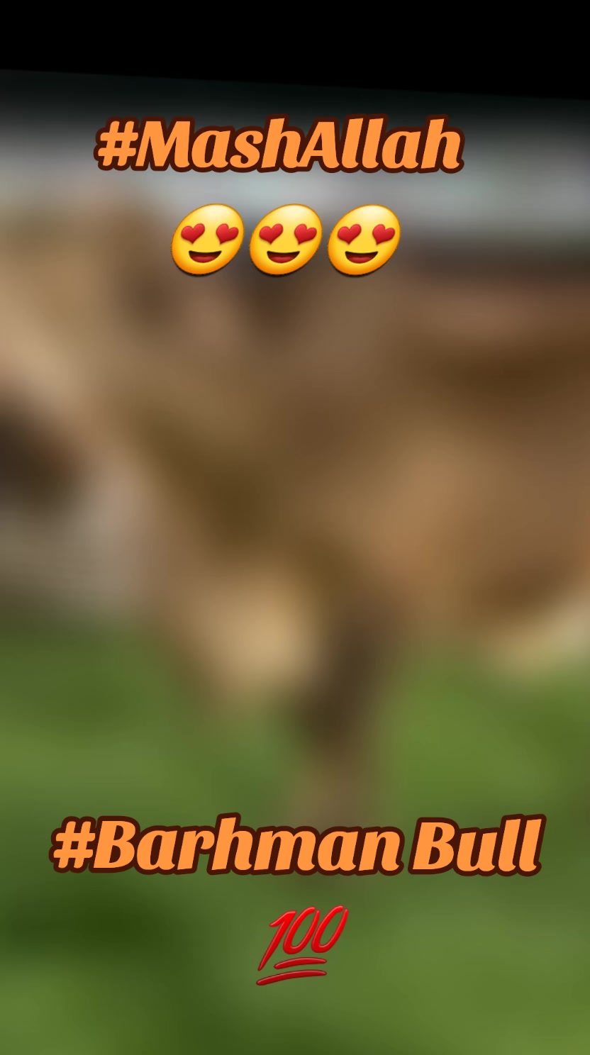 @Dani Baloch