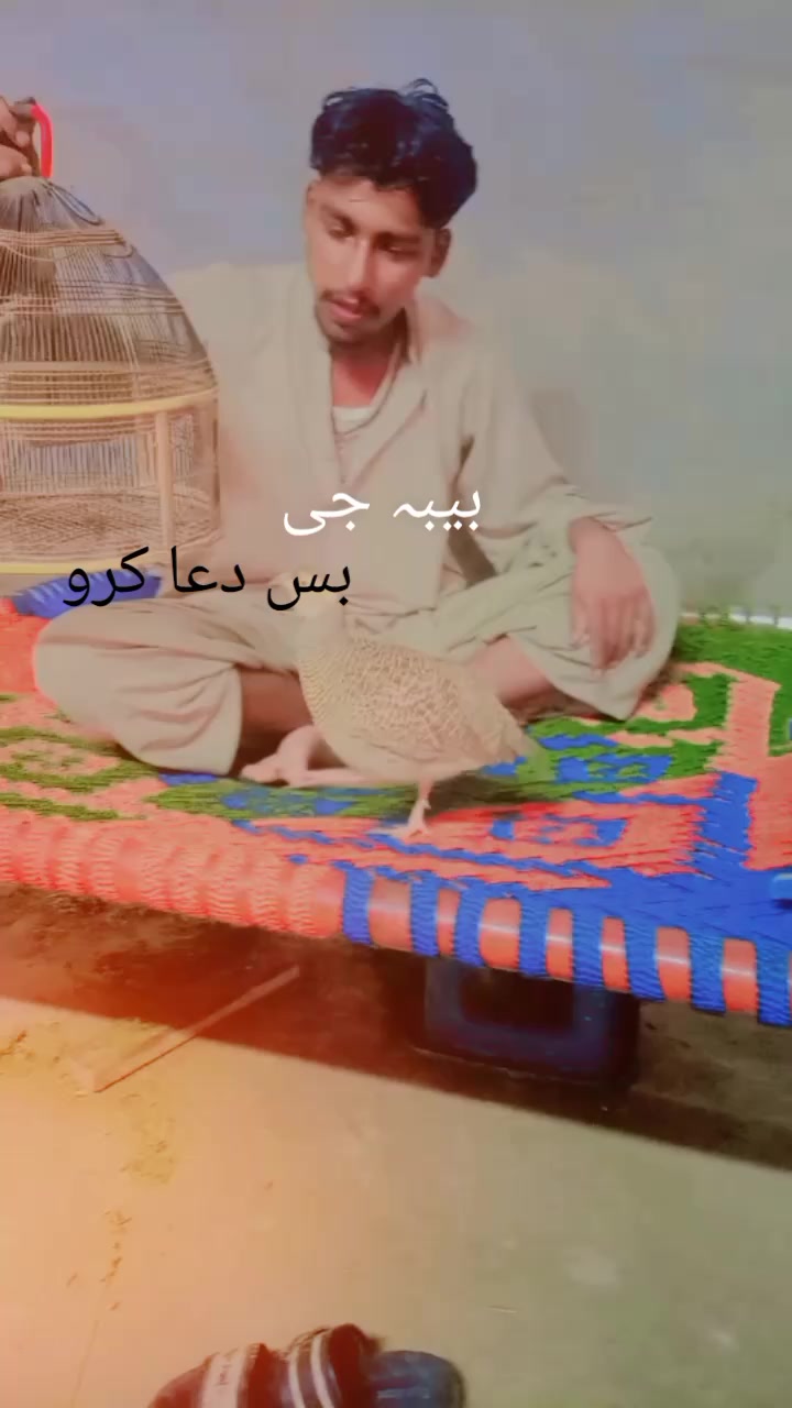 @بیبہ110🤕