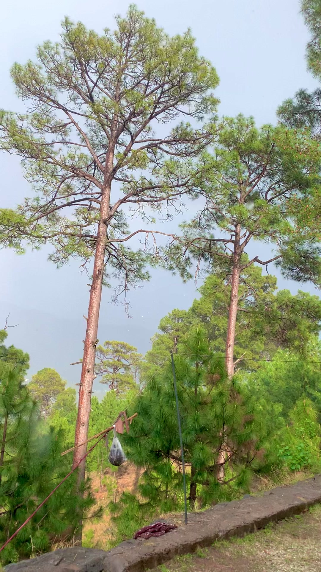 @کشمیری لوگ🏔️🦋