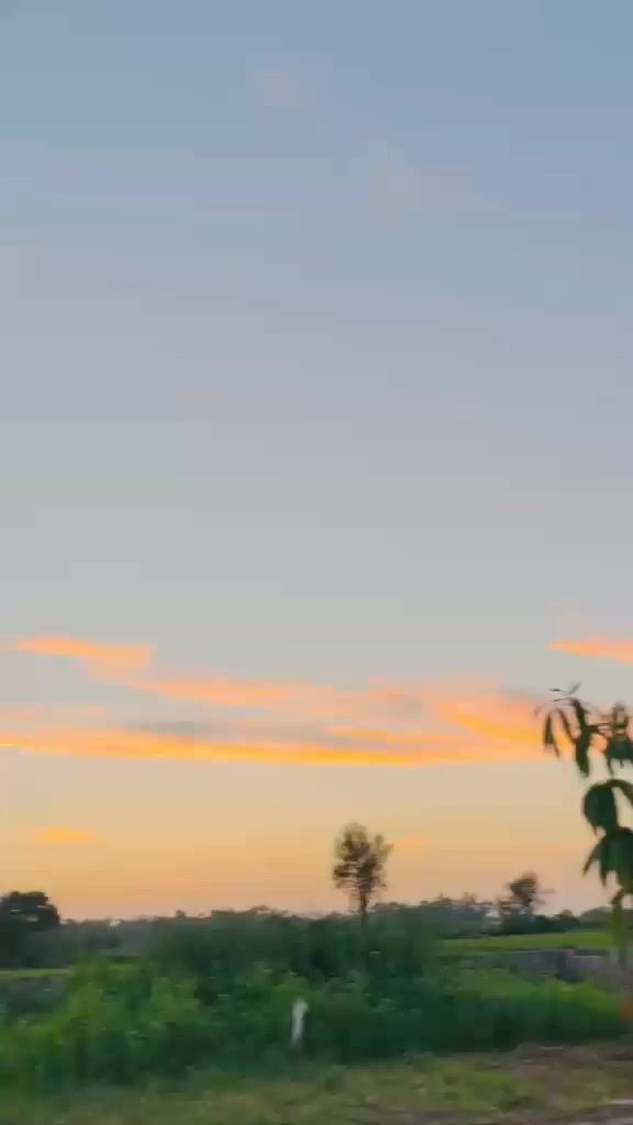@shahjhangujjar001