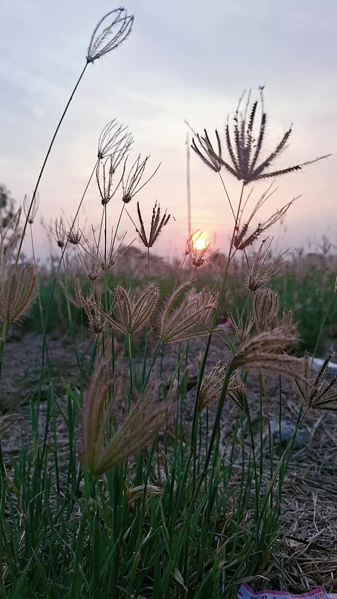 @TRẠM KÝ ỨC