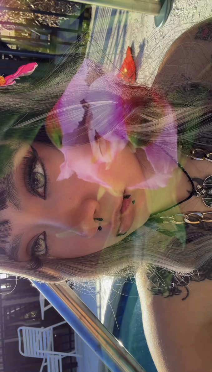 @Josceline