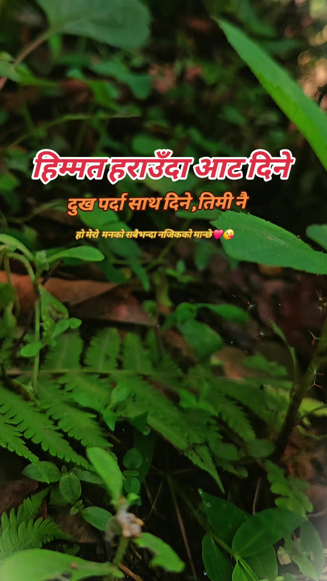 @AASHISH🤗🤗