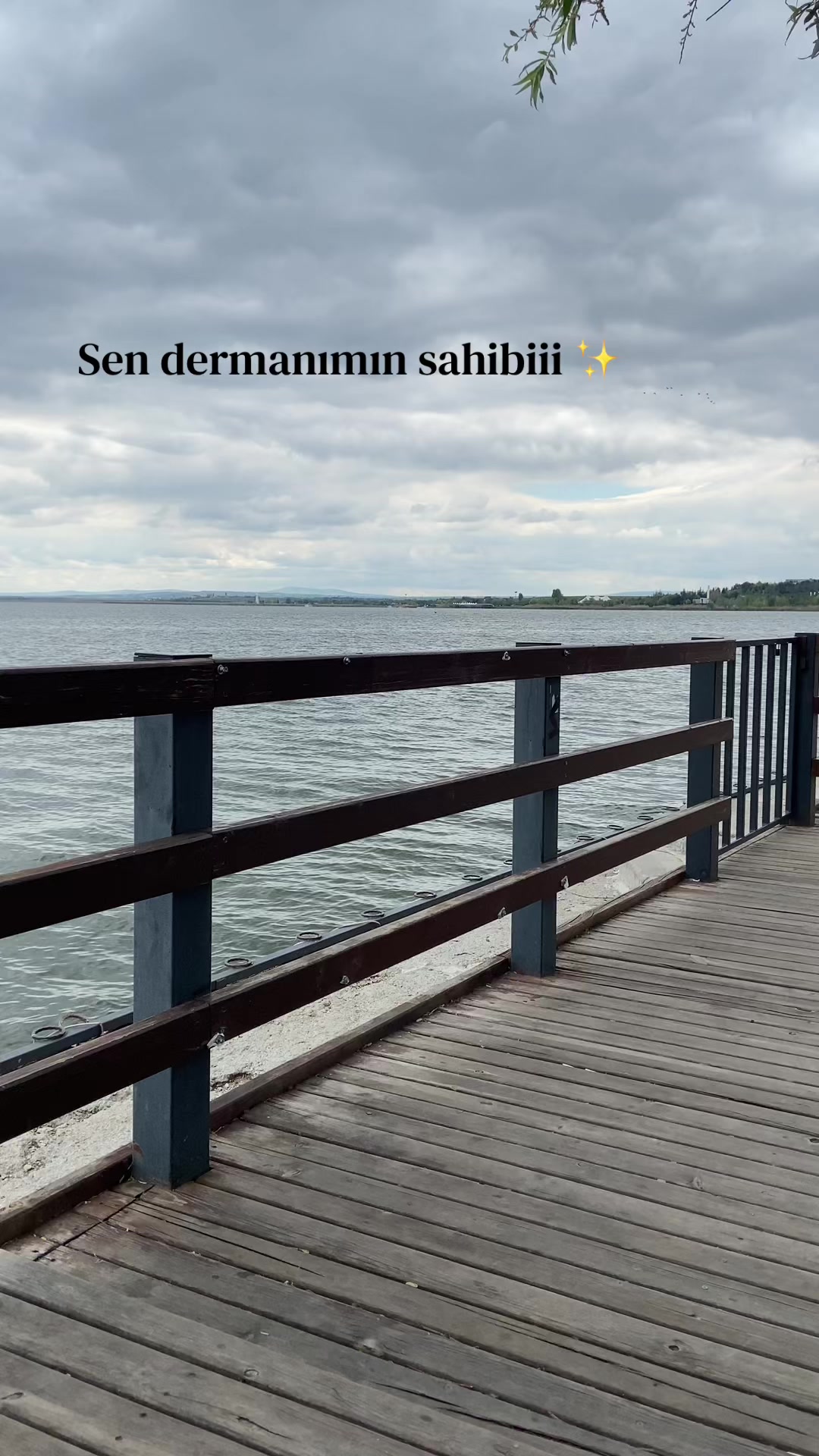 @Merve Koyuncu