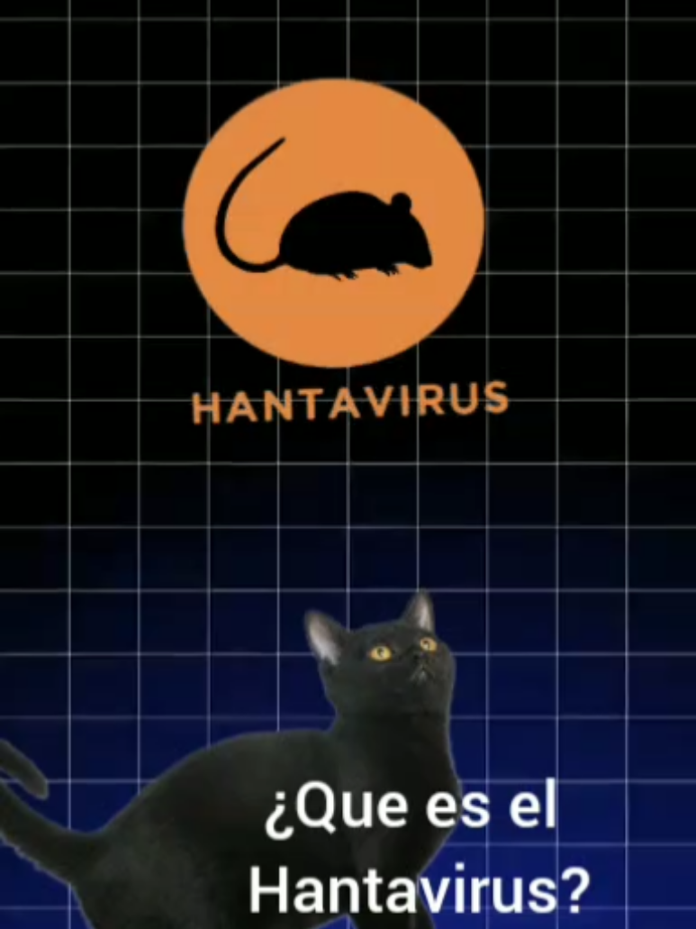 @★Velkaris★