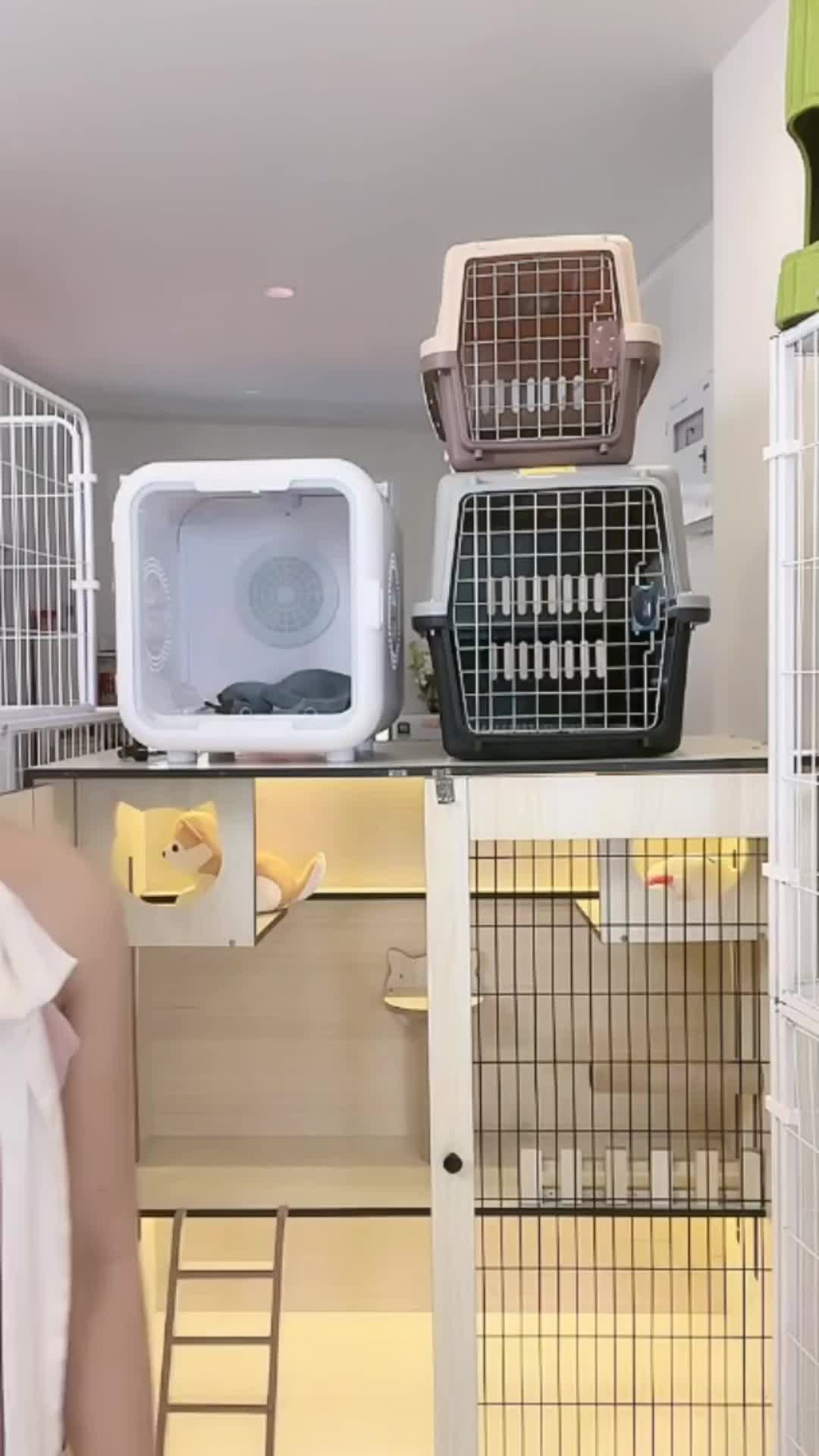 @petsland