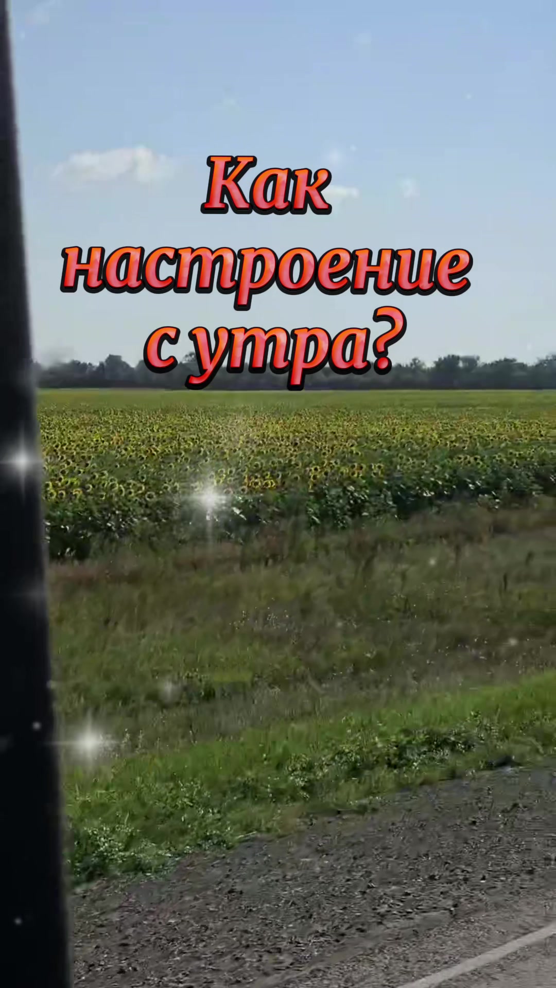 @Статусы и Цитаты от Натальи