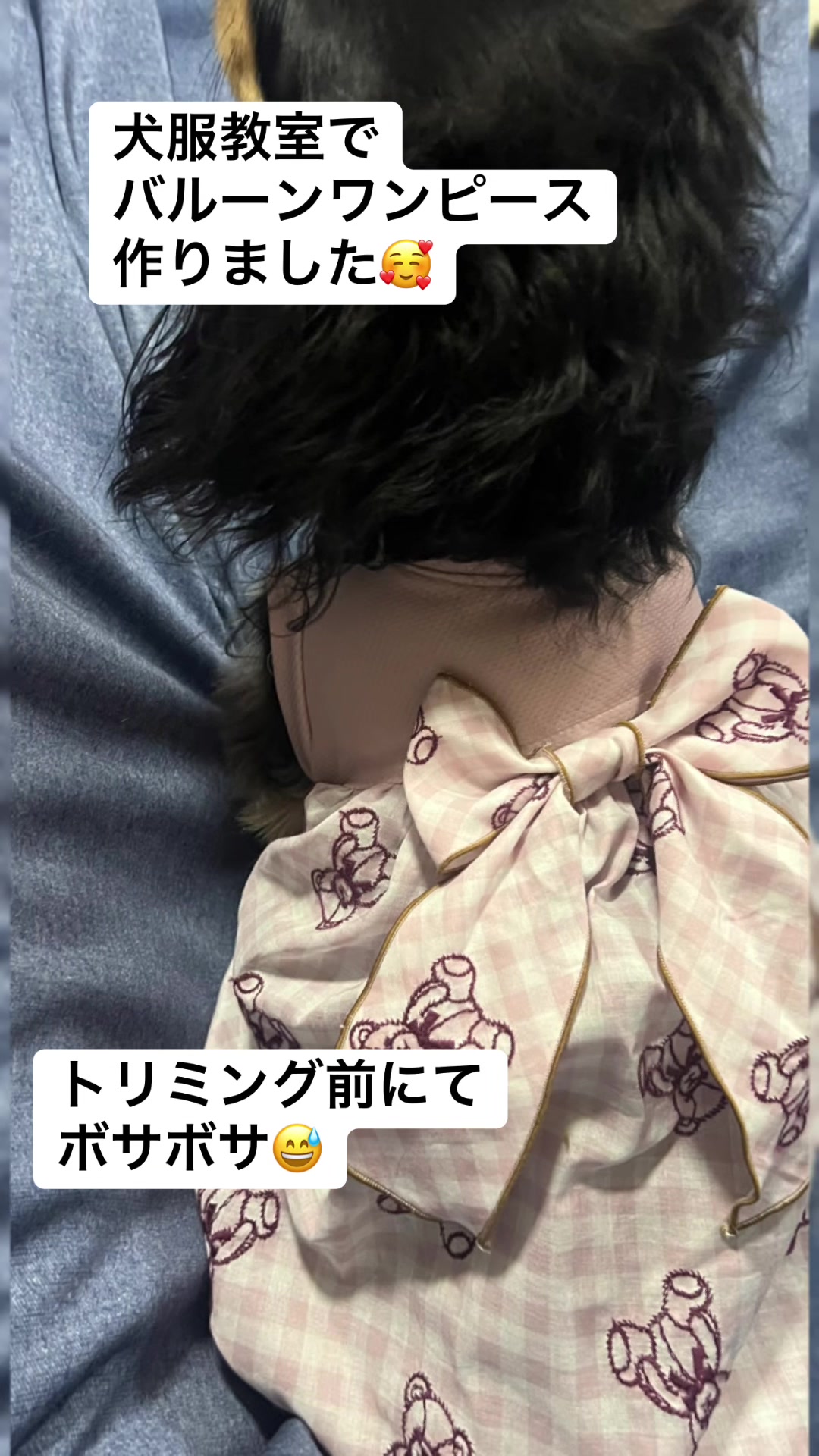 @ますごん7383