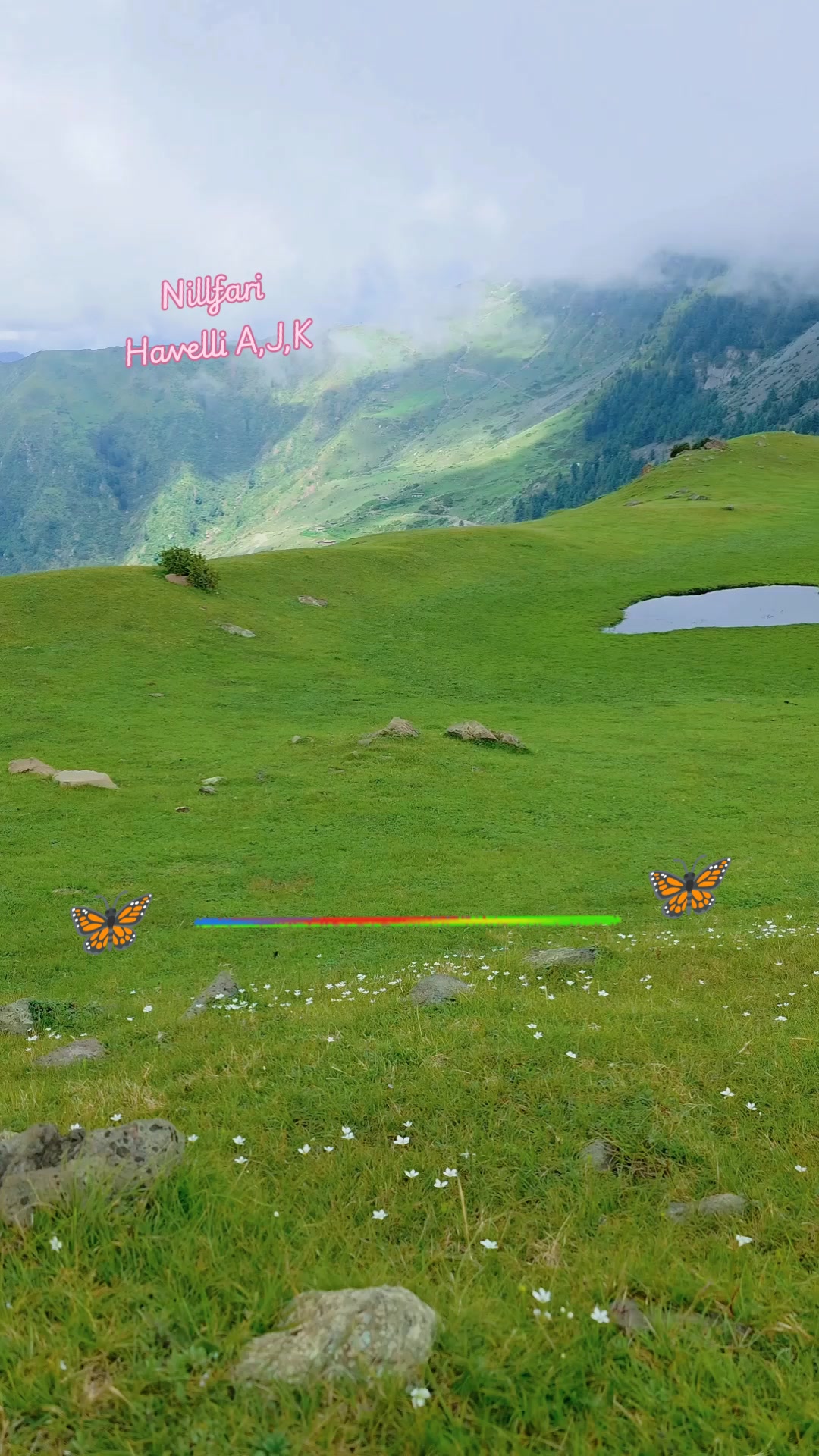 @umar Kashmiri,,,, 804