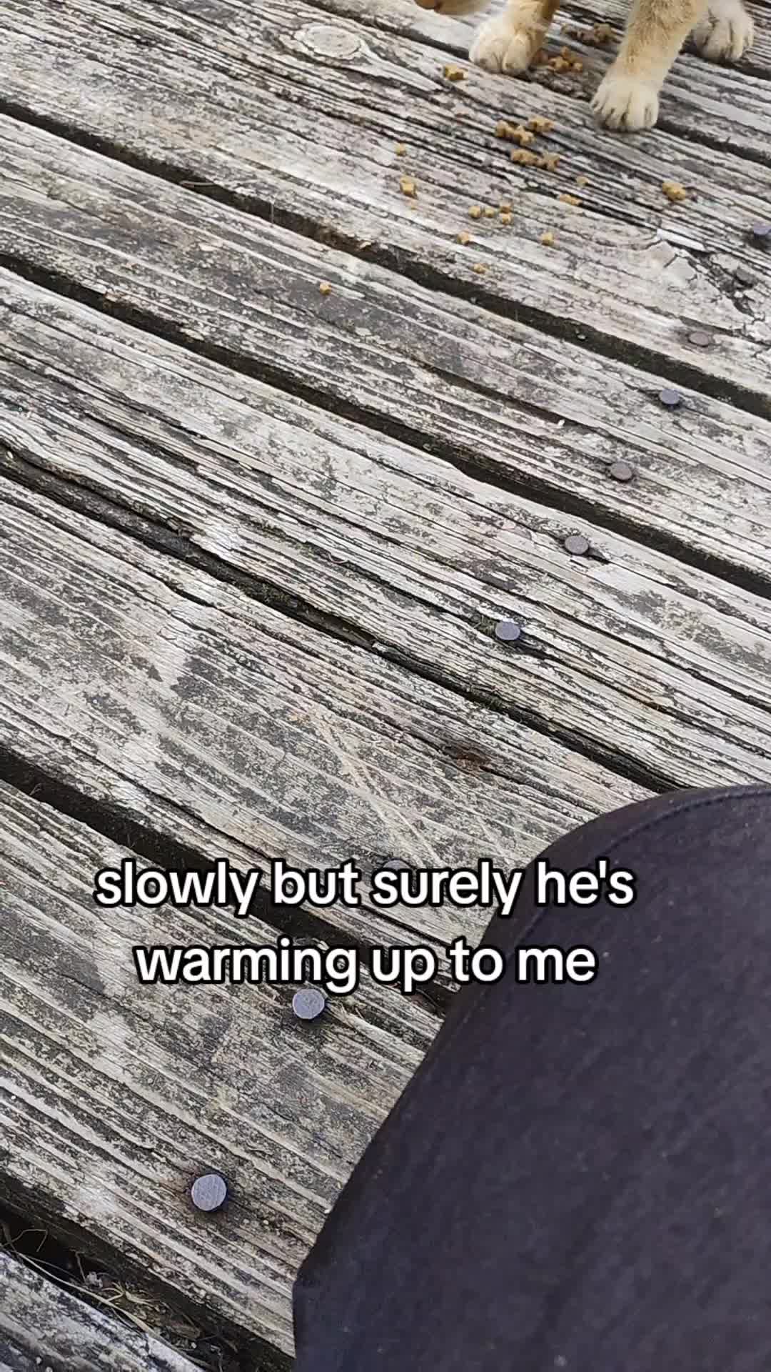 @DarkCrys