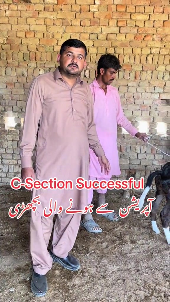 @Dr.Mohsin