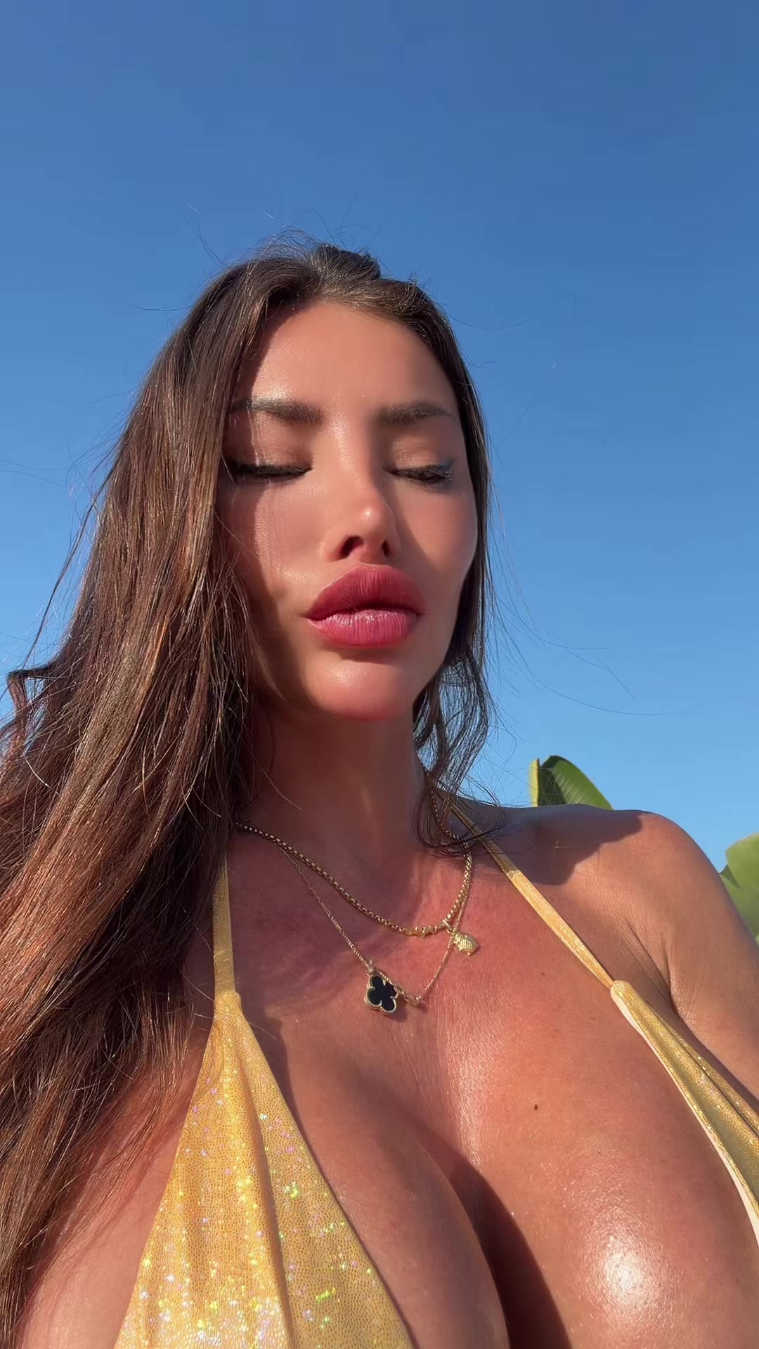 @alejandralai00