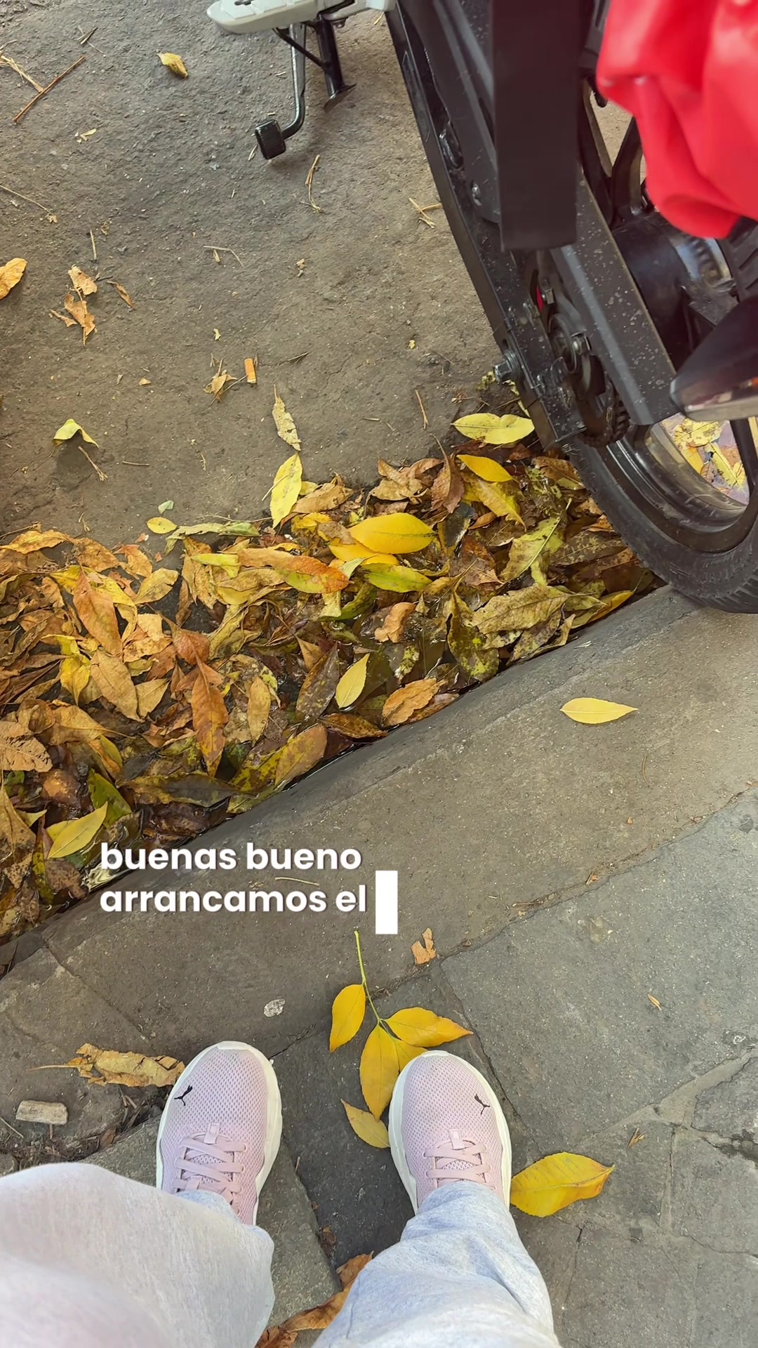 @PAO