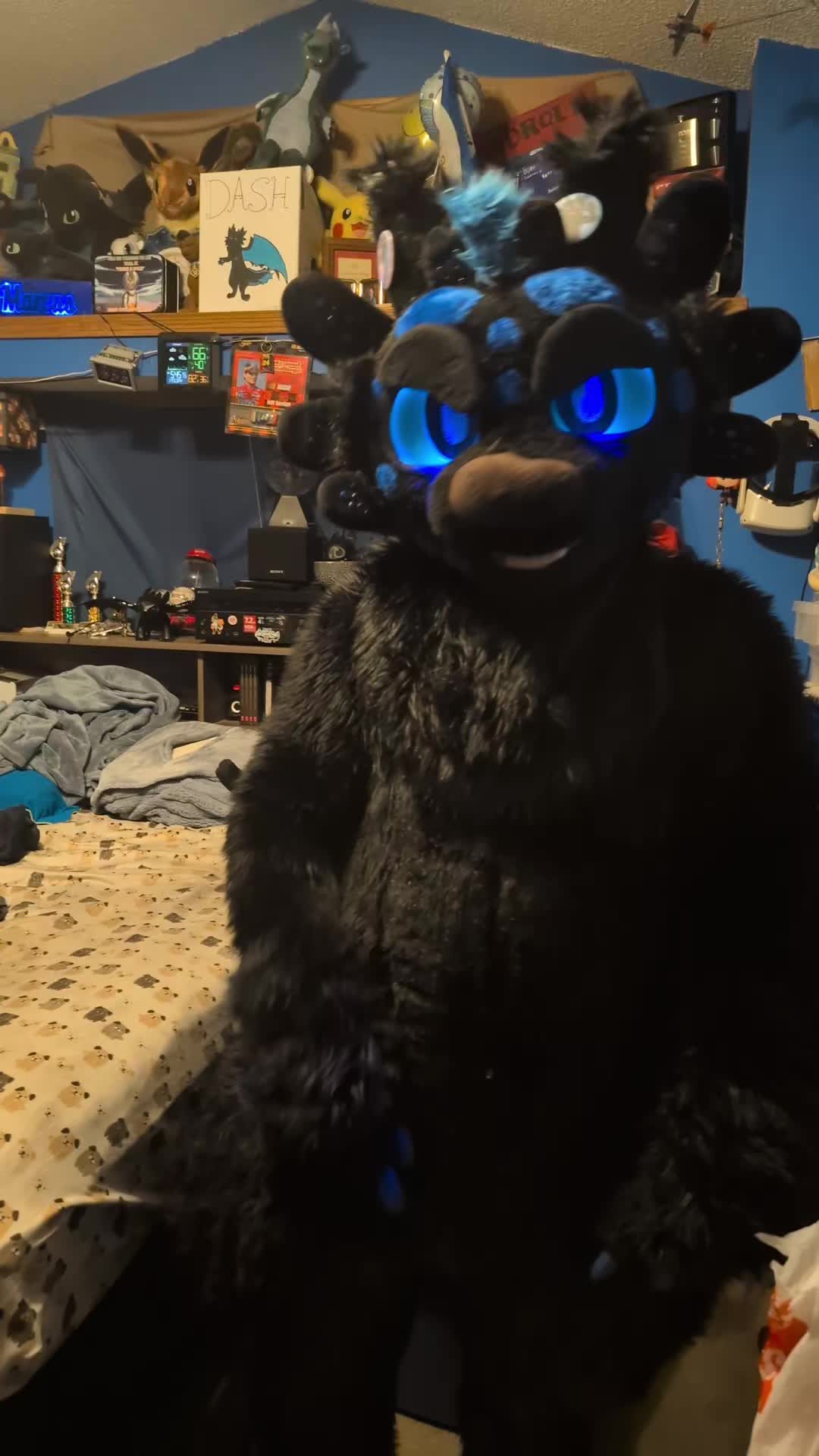 @DashTheNightFuryTaidum