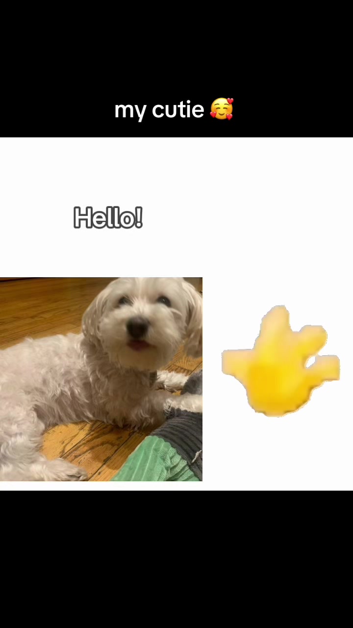 @≽^• ˕ • ྀི≼ 𝚓𝚓⋆˚𝜗𝜚˚⋆𐙚