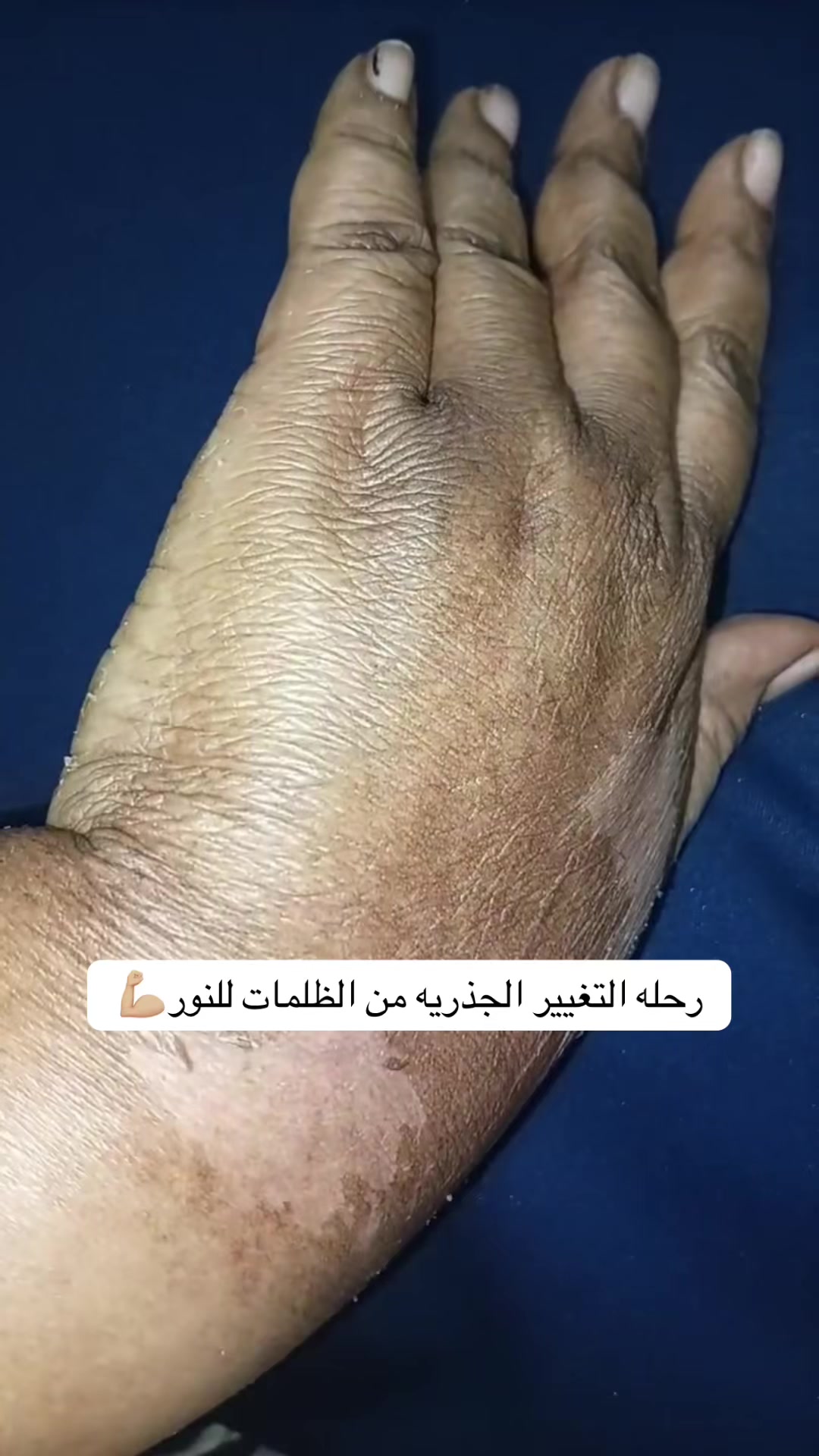 @هاي لينا| متجر قمر سابقاً