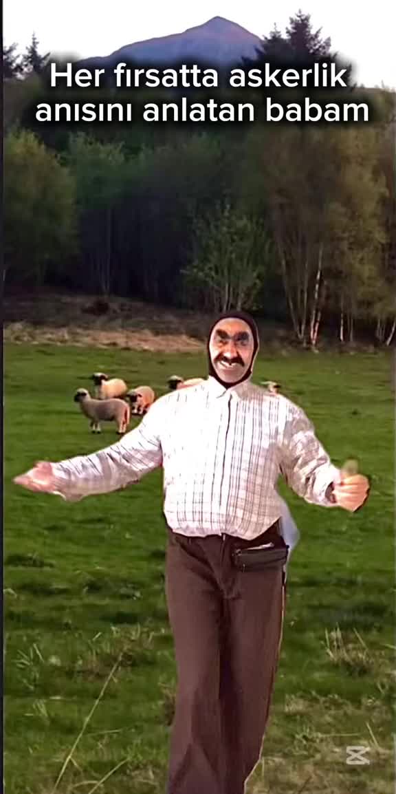 @Sibel