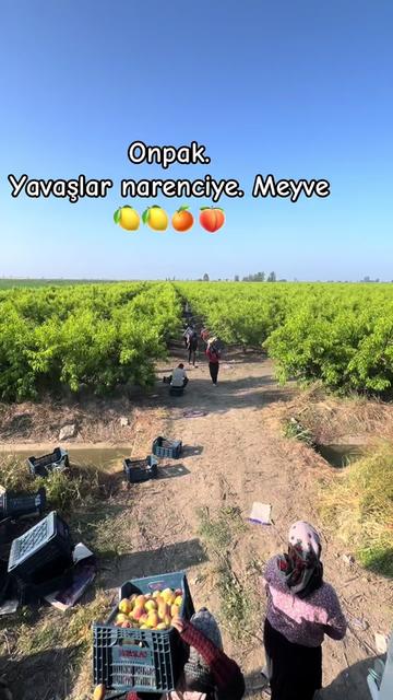 @ZAGOR _13_72🦅